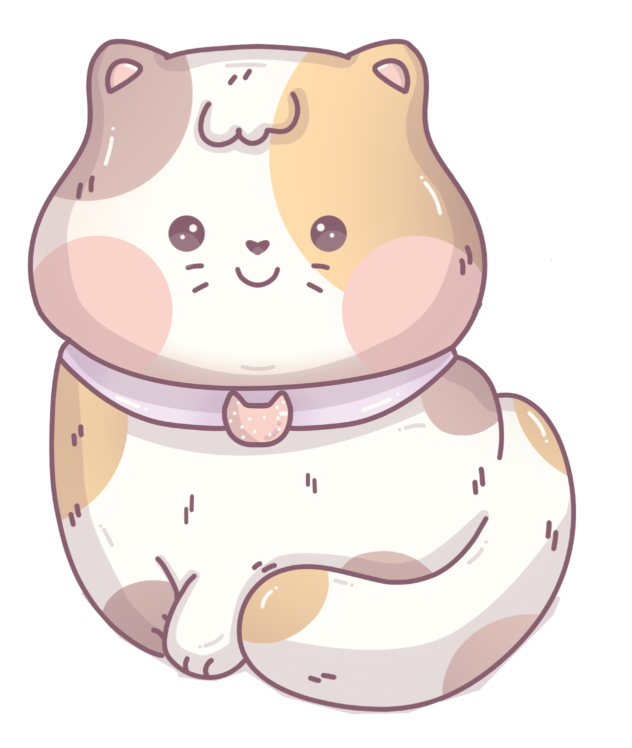 Gato